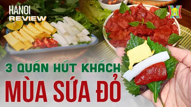 Đài Hà Nội