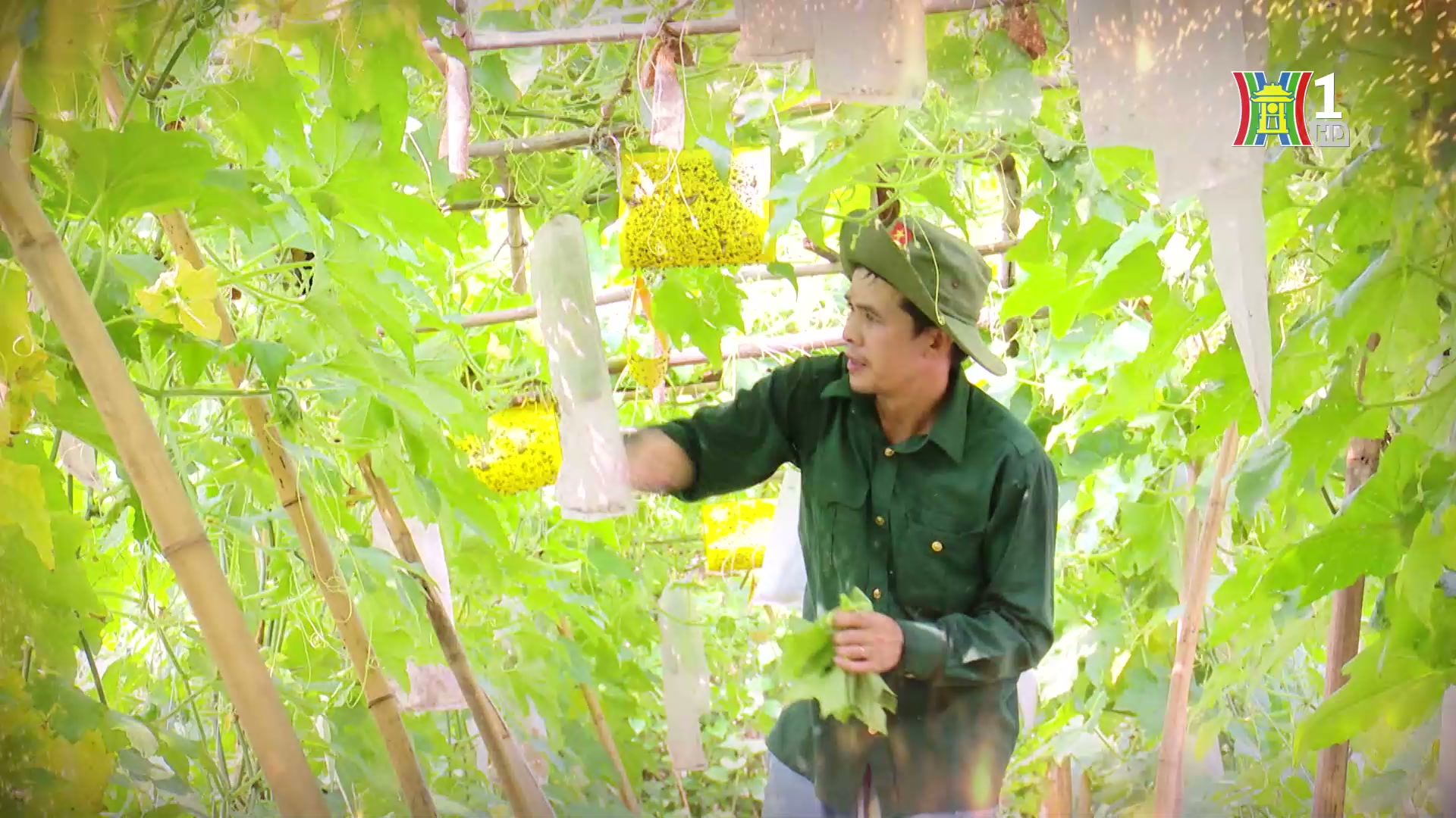 Đài Hà Nội