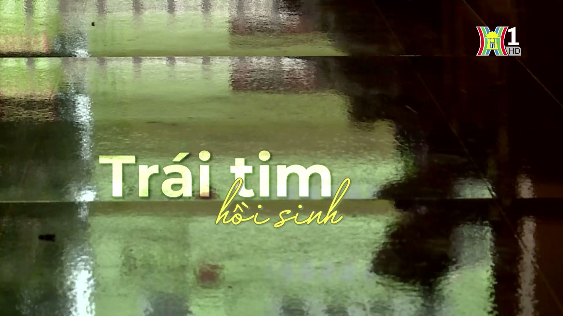 Đài Hà Nội
