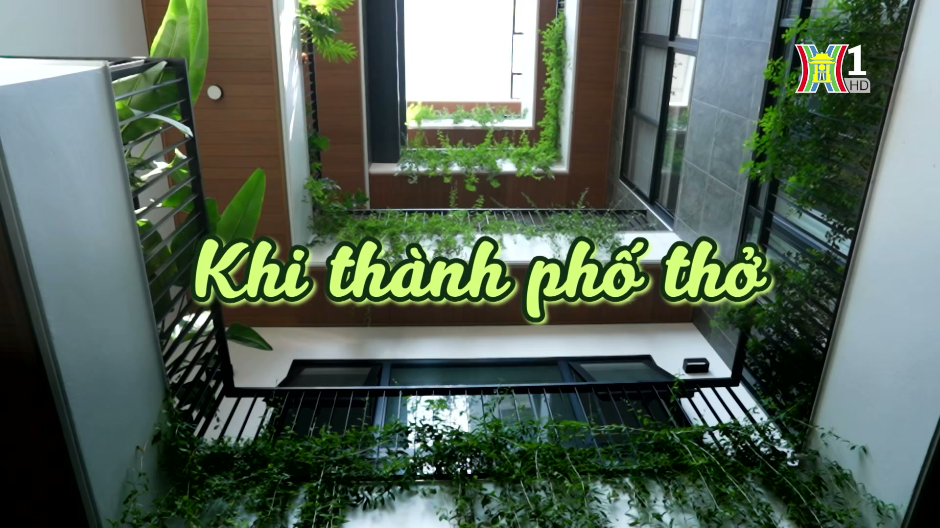 Đài Hà Nội