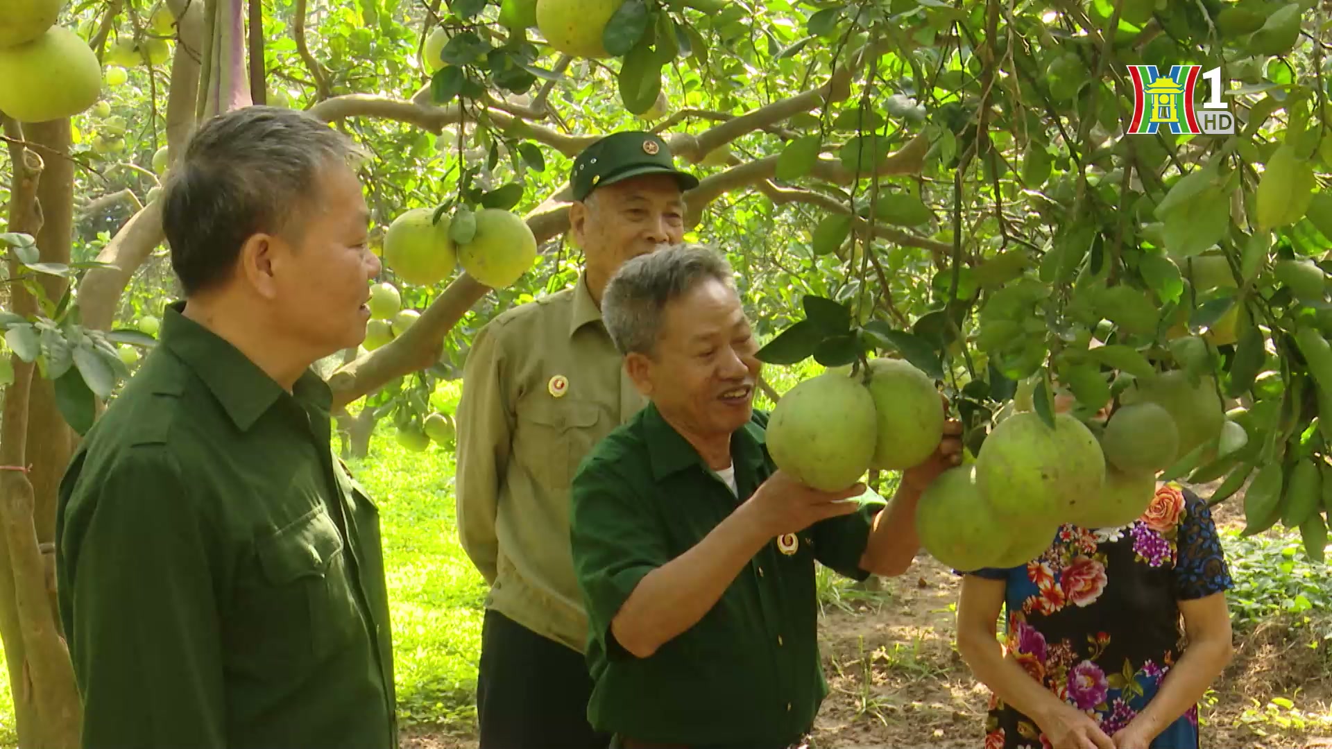 Đài Hà Nội