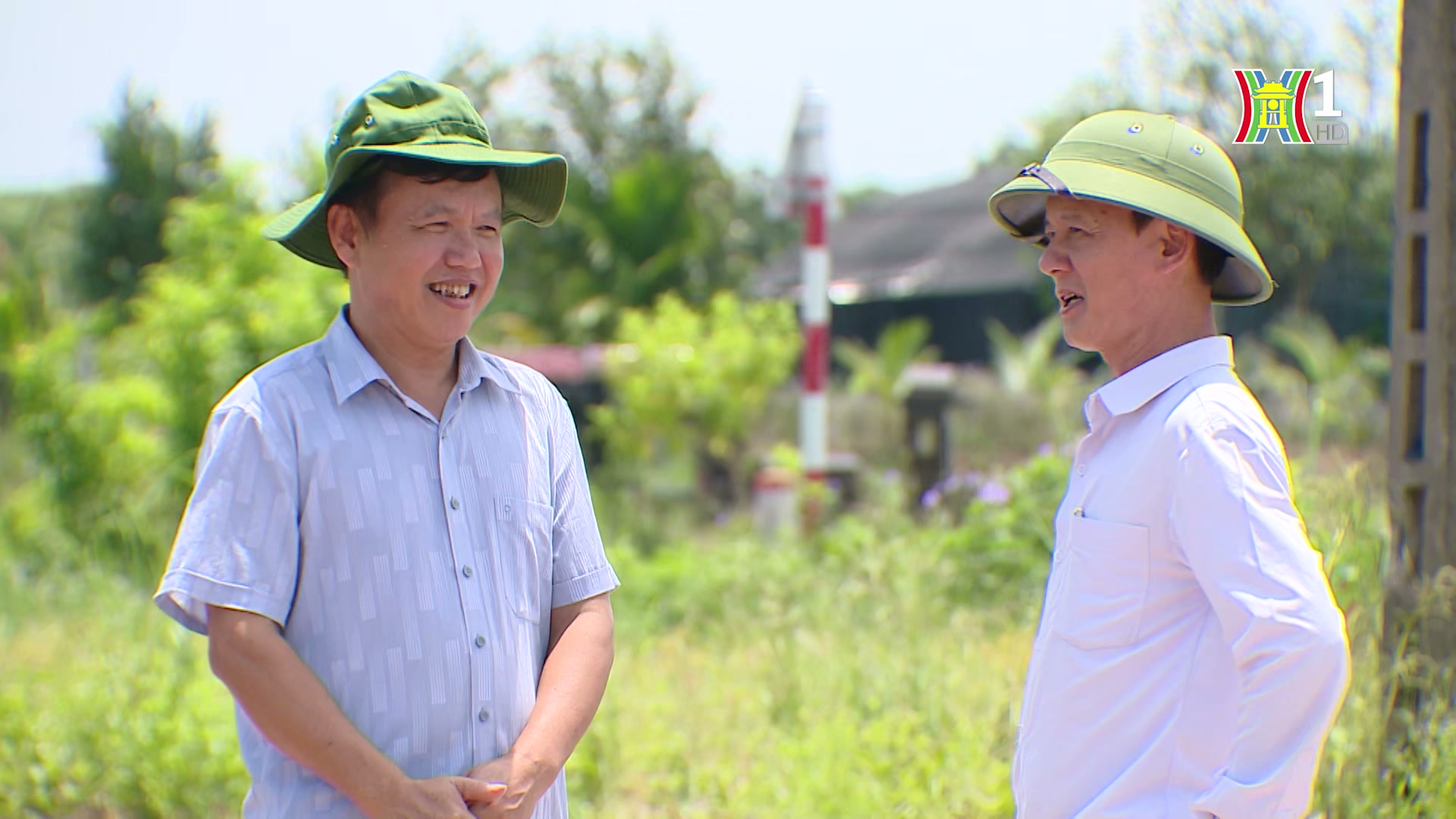 Đài Hà Nội