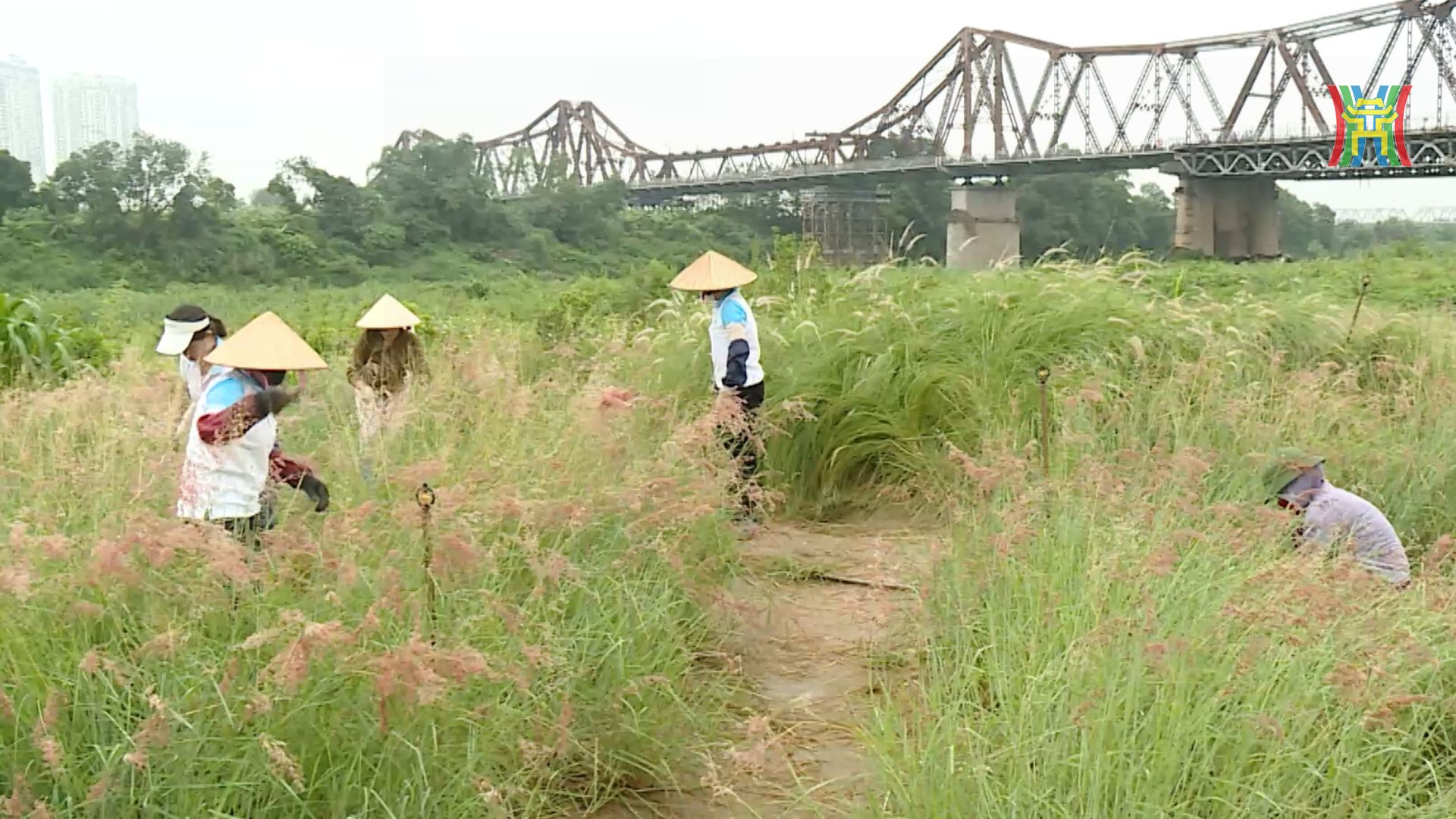 Đài Hà Nội