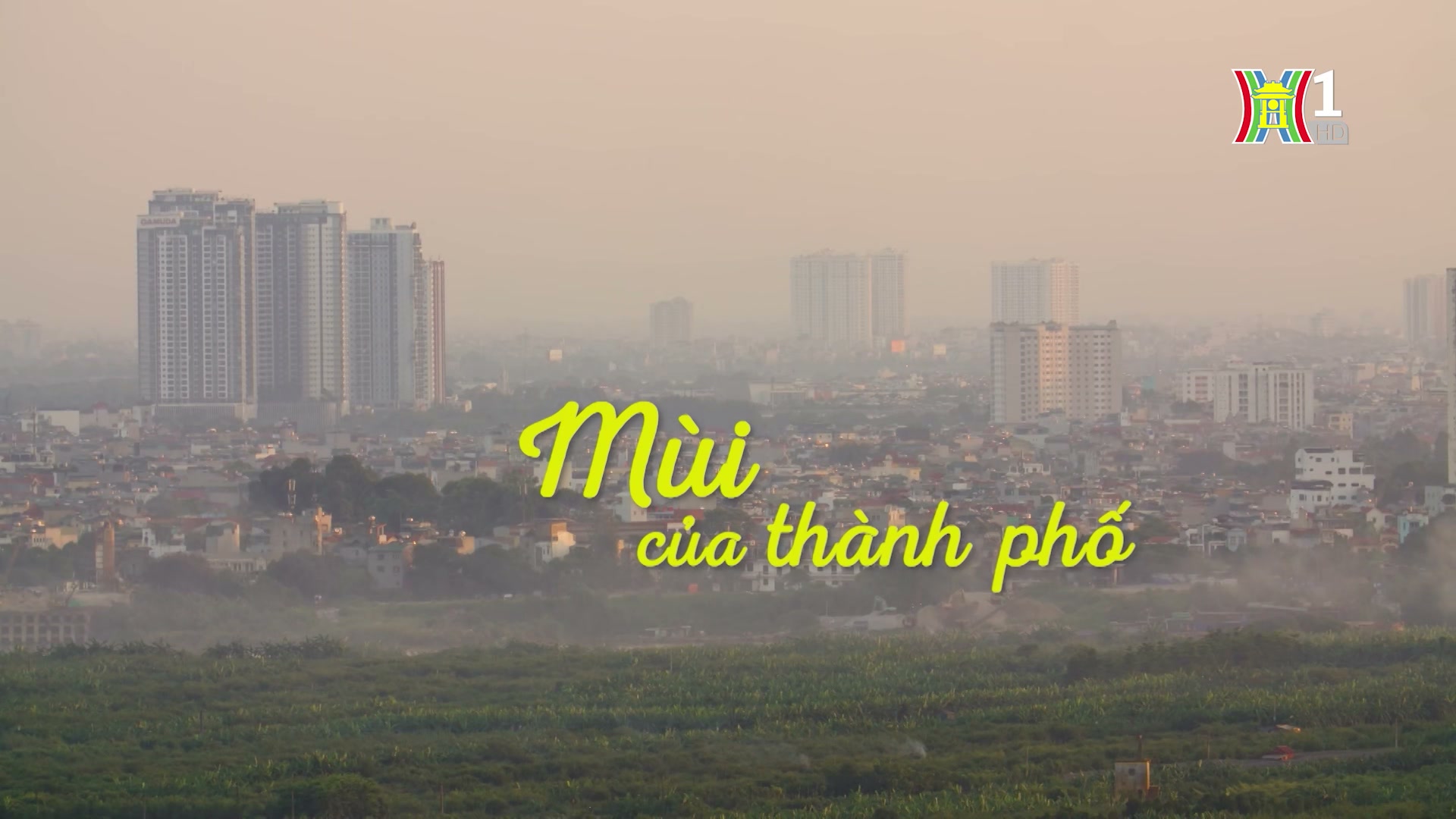 Mùi của thành phố | Cuộc sống thành thị | 21/09/2024