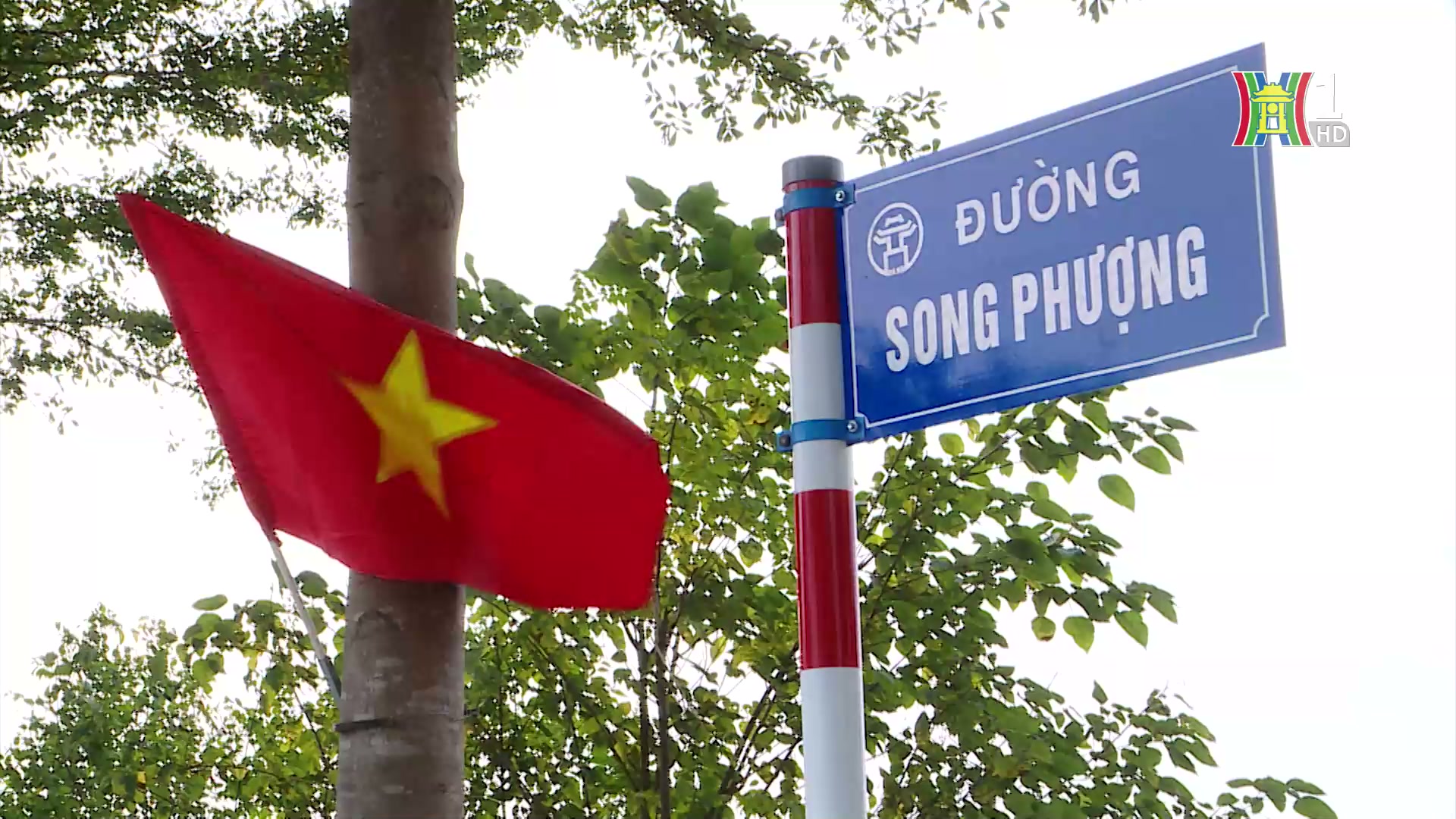 Đài Hà Nội