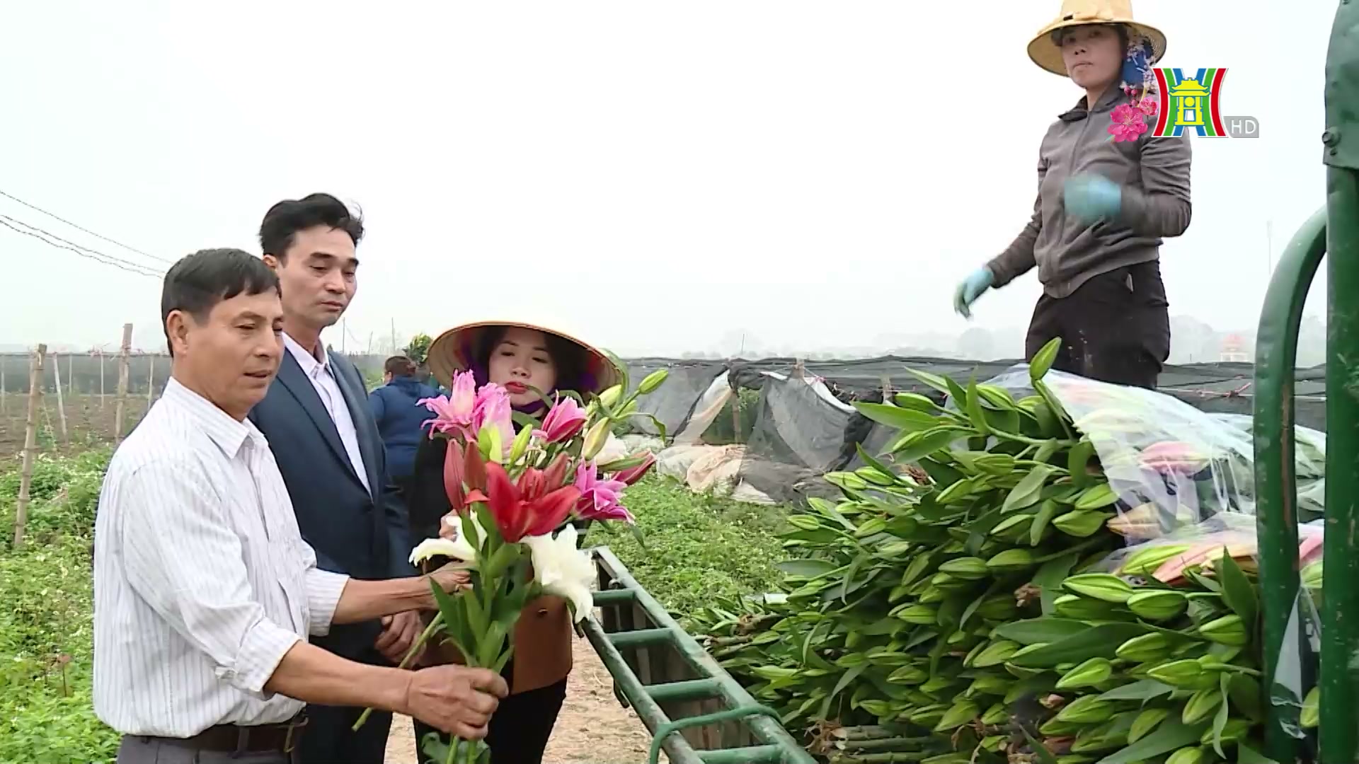 Đài Hà Nội