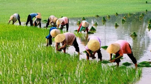 Đài Hà Nội