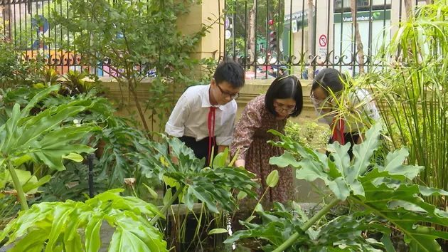Đài Hà Nội