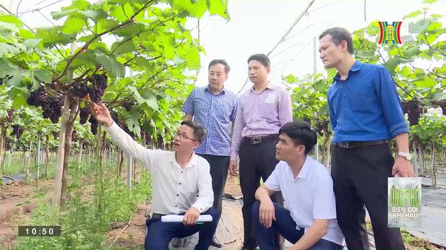 Phát triển nông nghiệp sinh thái kết hợp du lịch | Ứng phó với biến đổi khí hậu | 02/06/2023