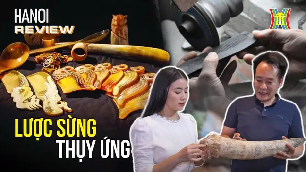Đài Hà Nội