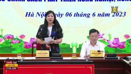 Đài Hà Nội