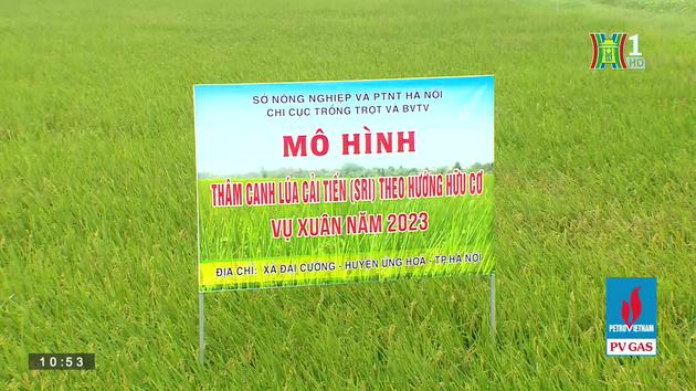 Sản xuất thích ứng với biến đổi khí hậu | Ứng phó với biến đổi khí hậu | 07/07/2023