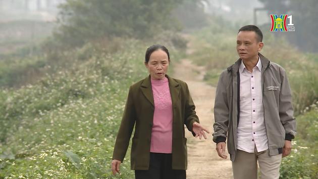 Đài Hà Nội