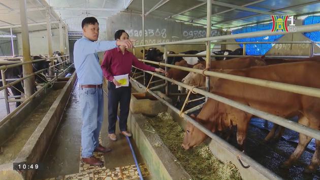 Ứng phó với biến đổi khí hậu (ngày 10/2/2023)