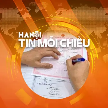 Hà Nội làm sạch dữ liệu hôn nhân trong 90 ngày | Hà Nội tin mỗi chiều