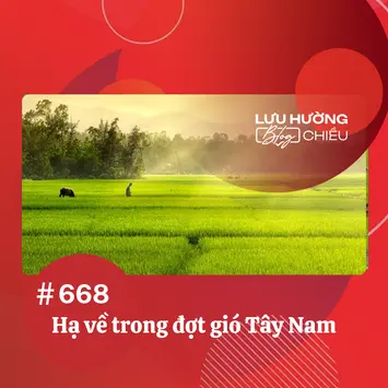 Hạ về trong đợt gió Tây Nam