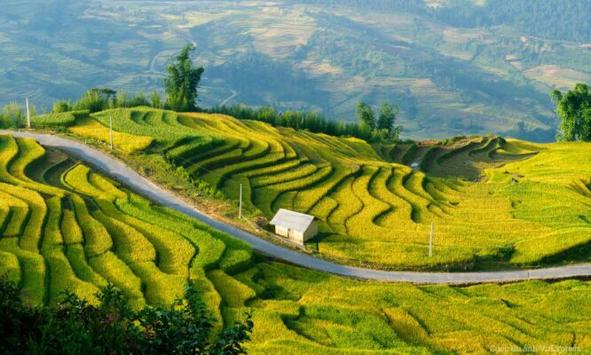 Khám phá vẻ đẹp Than Uyên | 13/01/2024