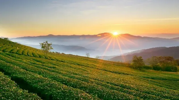 Đài Hà Nội