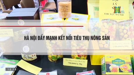 Đài Hà Nội
