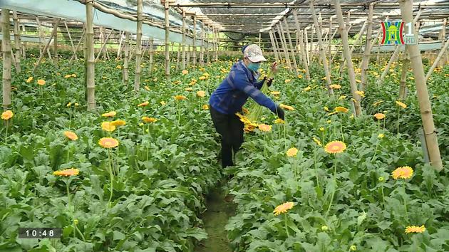 Bảo vệ môi trường trong sản xuất nông nghiệp Đan Phượng | Ứng phó với biến đổi khí hậu | 14/07/2023