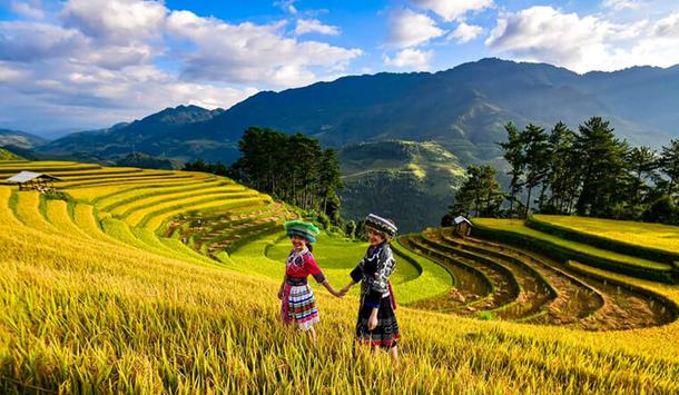 Khám phá vùng cao Tây Bắc | 14/11/2023