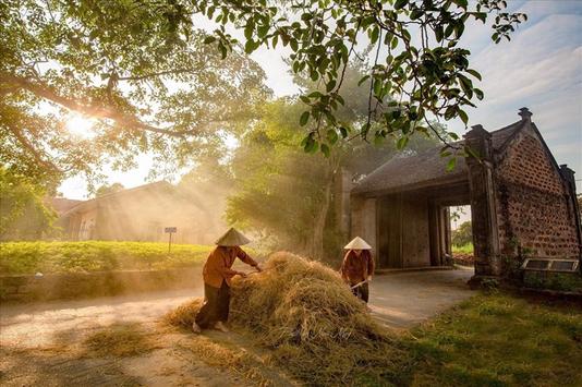 Độc đáo ngôi làng đá ong | 14/12/2023