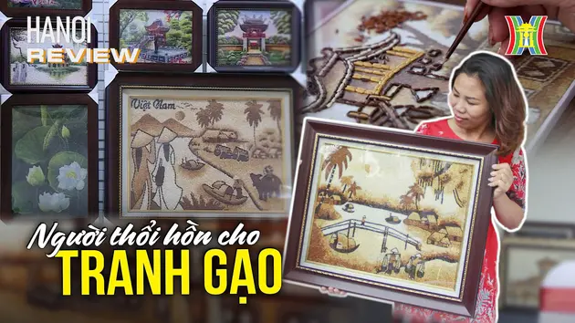 Đài Hà Nội