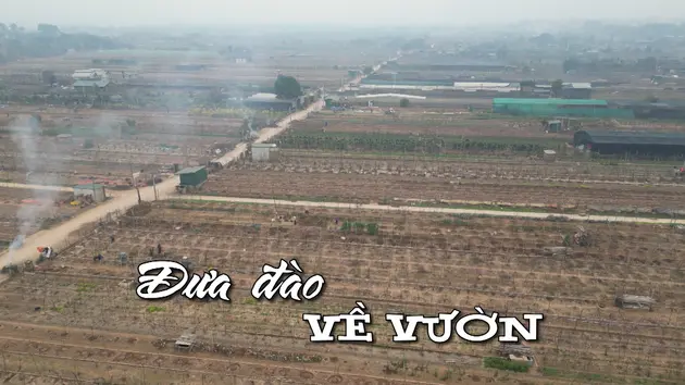 Đài Hà Nội