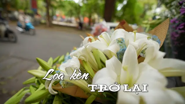 Đài Hà Nội