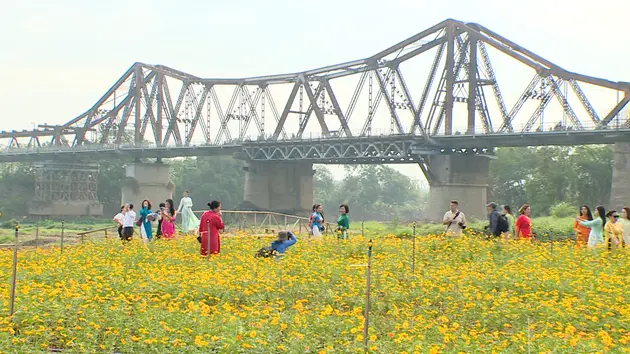 Đài Hà Nội