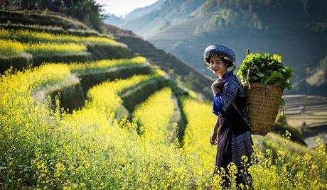 Khám phá vẻ đẹp vùng cao Tây Bắc | 17/10/2023