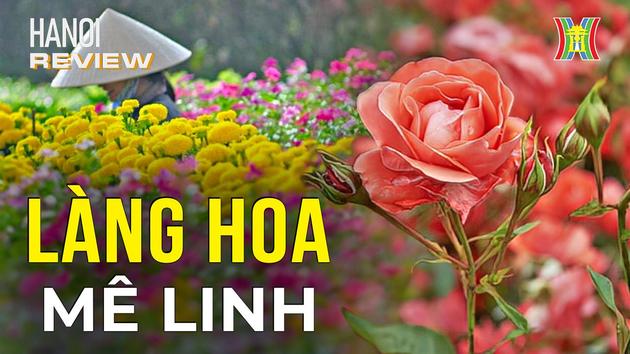 Đài Hà Nội