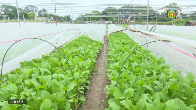 HTX Văn Đức sản xuất gắn với bảo vệ môi trường (ngày 19/05/2023)