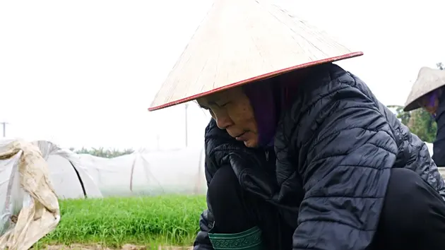 Đài Hà Nội