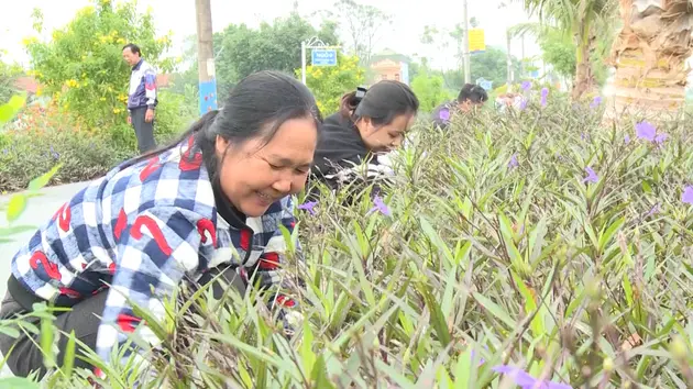 Đài Hà Nội