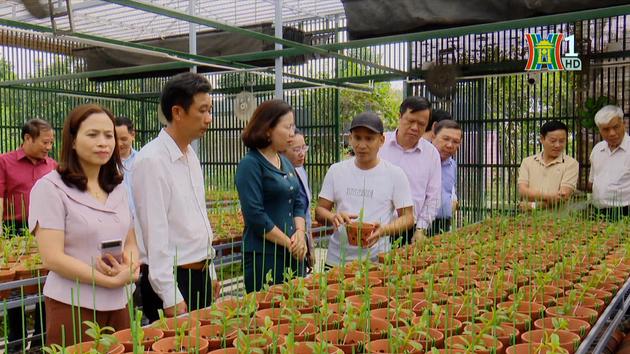 Ứng dụng KHCN vào sản xuất nông nghiệp