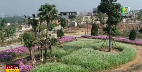 Đài Hà Nội