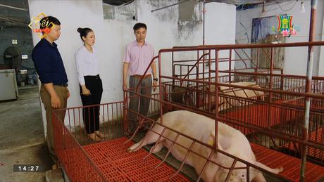 Đài Hà Nội