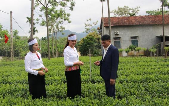Nghị quyết 15 góp phần đổi thay vùng dân tộc thiểu số
