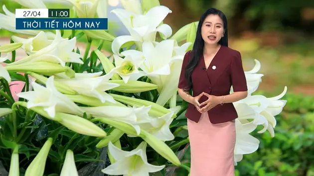 Đài Hà Nội