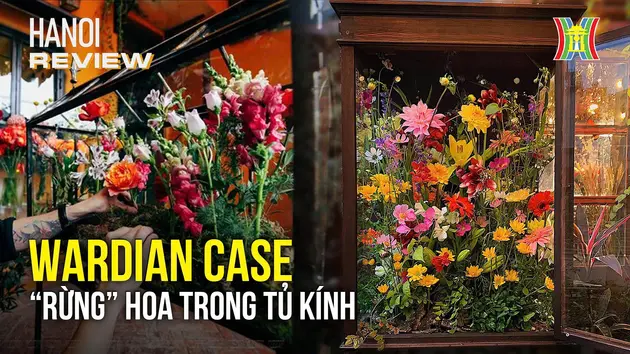 Đài Hà Nội