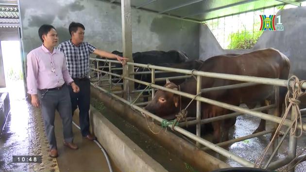 Phát triển chăn nuôi bảo vệ môi trường (ngày 31/3/2023)
