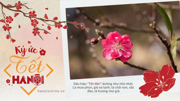 Mùa Tết trong tôi