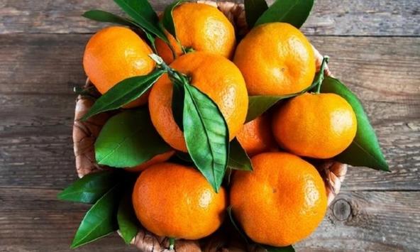 Quả quýt và những lợi ích tuyệt vời với sức khỏe