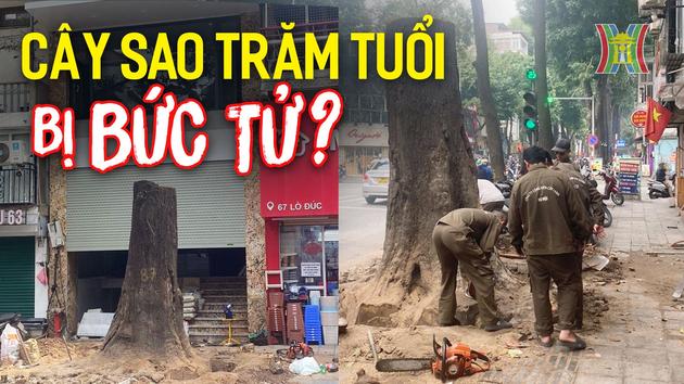 Đài Hà Nội