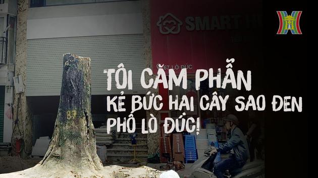 Đài Hà Nội
