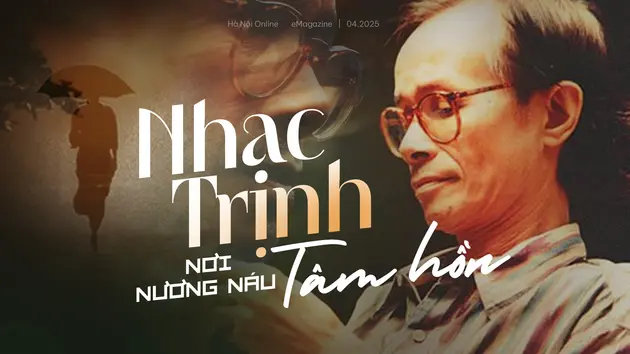 Nhạc Trịnh – Nơi nương náu tâm hồn