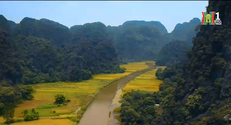 Đài Hà Nội