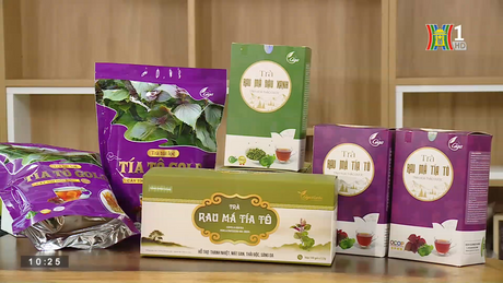 Đài Hà Nội