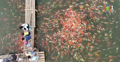 Đài Hà Nội